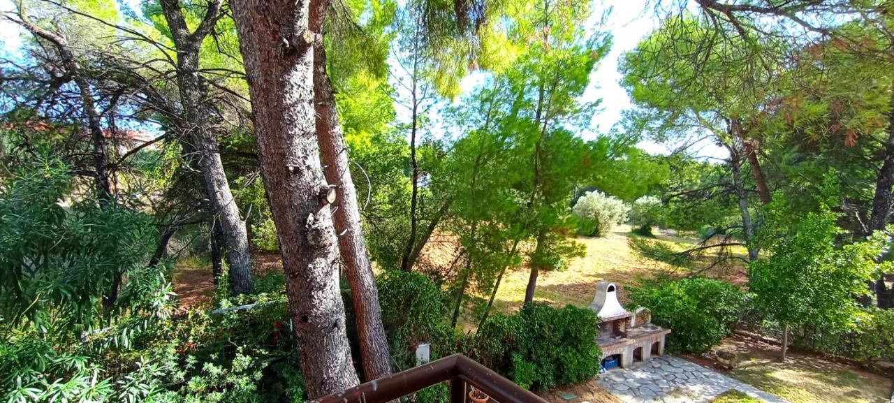 High Aesthetics Maisonette In The Wood By The Sea Метаморфоси Екстериор снимка