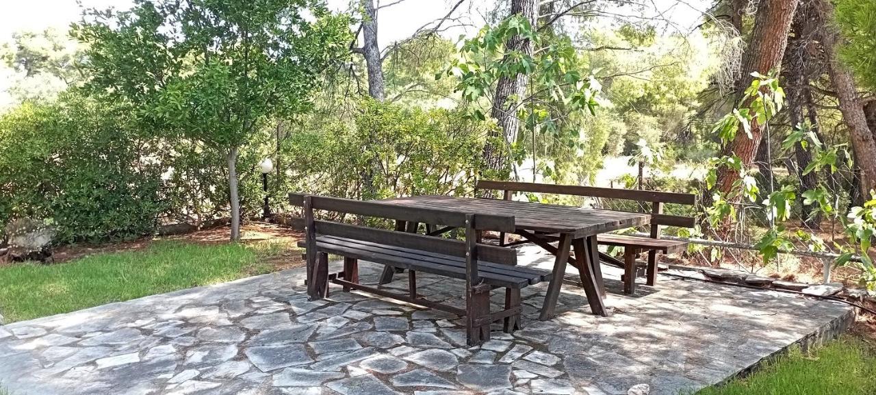 High Aesthetics Maisonette In The Wood By The Sea Метаморфоси Екстериор снимка